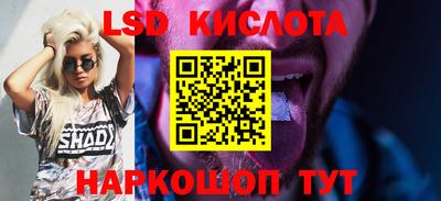 мяу мяу мука Краснознаменск